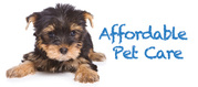 Veterinary surgeon Willenhall